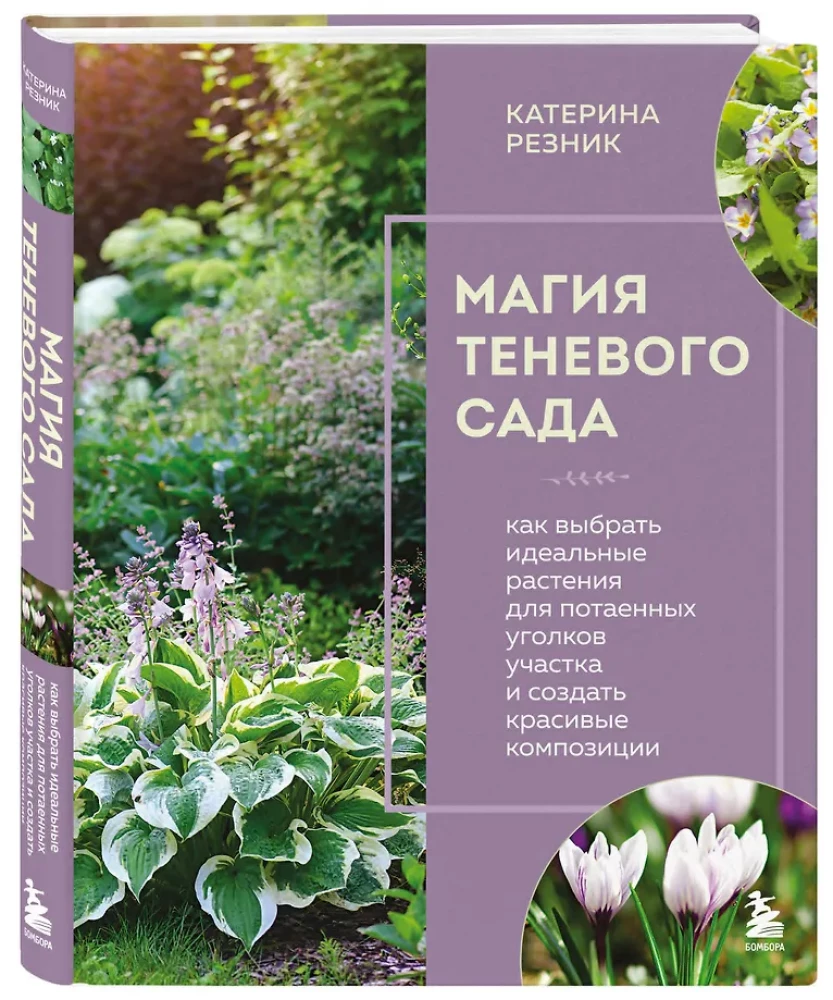 The Magic of the Shadow Garden. How to Choose the Perfect Plants for the Hidden Corners of Your Plot and Create Beautiful Compositions