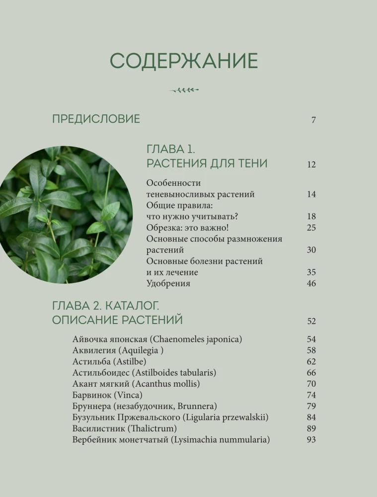 The Magic of the Shadow Garden. How to Choose the Perfect Plants for the Hidden Corners of Your Plot and Create Beautiful Compositions