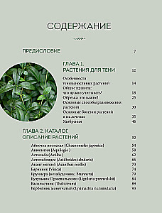 The Magic of the Shadow Garden. How to Choose the Perfect Plants for the Hidden Corners of Your Plot and Create Beautiful Compositions