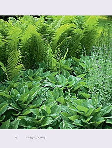 The Magic of the Shadow Garden. How to Choose the Perfect Plants for the Hidden Corners of Your Plot and Create Beautiful Compositions