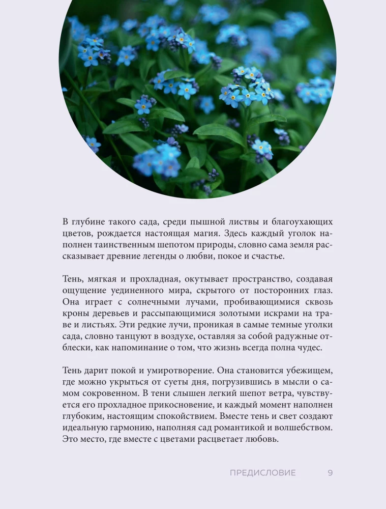 The Magic of the Shadow Garden. How to Choose the Perfect Plants for the Hidden Corners of Your Plot and Create Beautiful Compositions