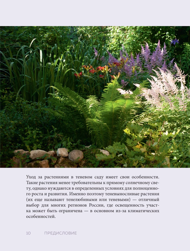 The Magic of the Shadow Garden. How to Choose the Perfect Plants for the Hidden Corners of Your Plot and Create Beautiful Compositions