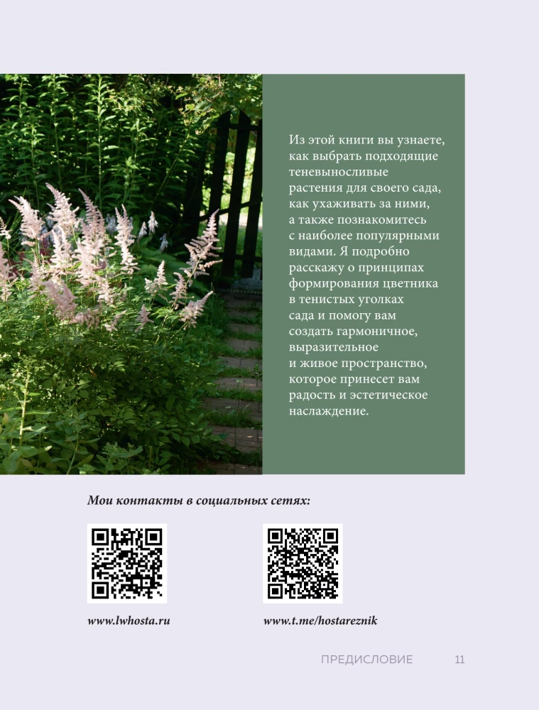 The Magic of the Shadow Garden. How to Choose the Perfect Plants for the Hidden Corners of Your Plot and Create Beautiful Compositions