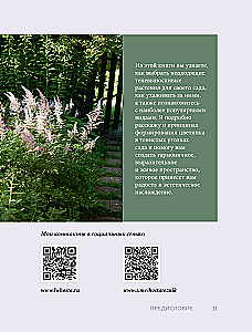 The Magic of the Shadow Garden. How to Choose the Perfect Plants for the Hidden Corners of Your Plot and Create Beautiful Compositions