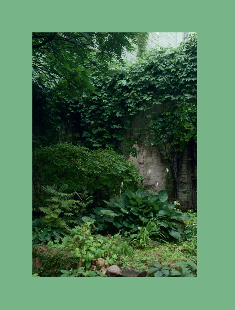 The Magic of the Shadow Garden. How to Choose the Perfect Plants for the Hidden Corners of Your Plot and Create Beautiful Compositions