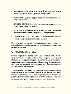 The Magic of the Shadow Garden. How to Choose the Perfect Plants for the Hidden Corners of Your Plot and Create Beautiful Compositions