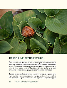 The Magic of the Shadow Garden. How to Choose the Perfect Plants for the Hidden Corners of Your Plot and Create Beautiful Compositions