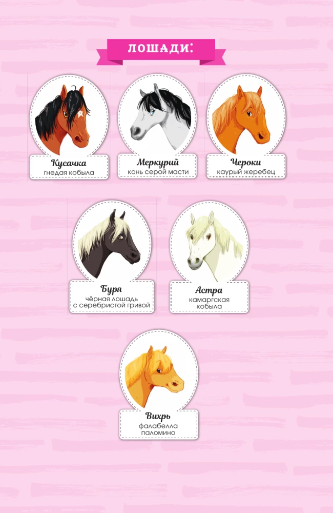 Reitakademie. Ein missratener Sturz