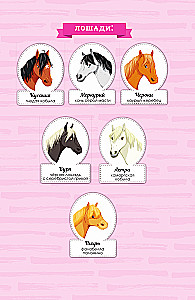 Reitakademie. Ein missratener Sturz