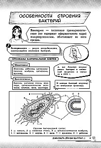 Биология. Прокачай свой уровень на максимум
