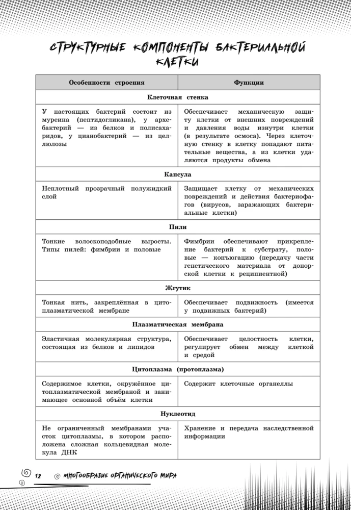 Биология. Прокачай свой уровень на максимум