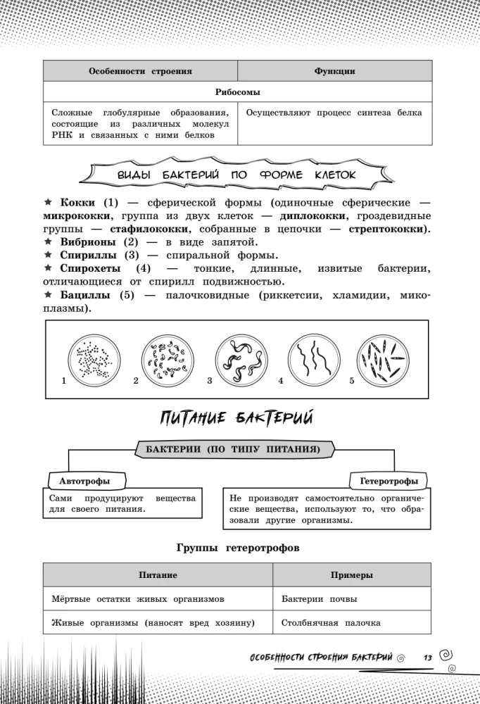 Биология. Прокачай свой уровень на максимум