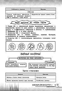 Биология. Прокачай свой уровень на максимум
