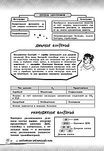 Биология. Прокачай свой уровень на максимум