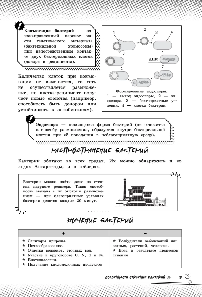 Биология. Прокачай свой уровень на максимум