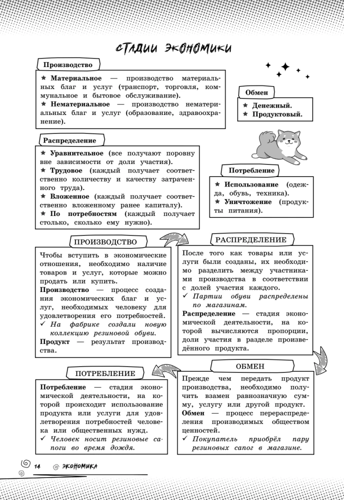 Обществознание. Прокачай свой уровень на максимум