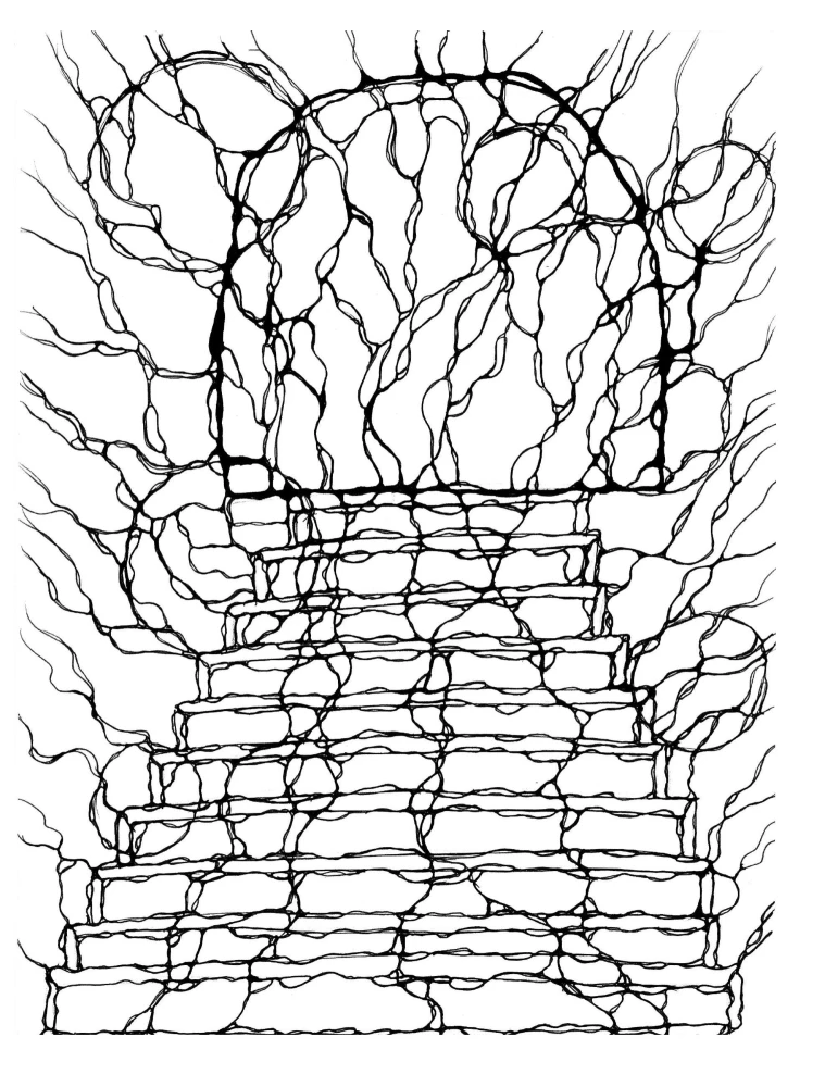 Lines of Self-Discovery. Practical Drawing