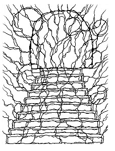 Lines of Self-Discovery. Practical Drawing