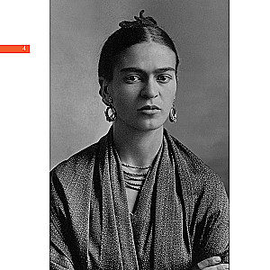 Frida. Das Wichtigste. Meisterwerke, die die Welt erschütterten