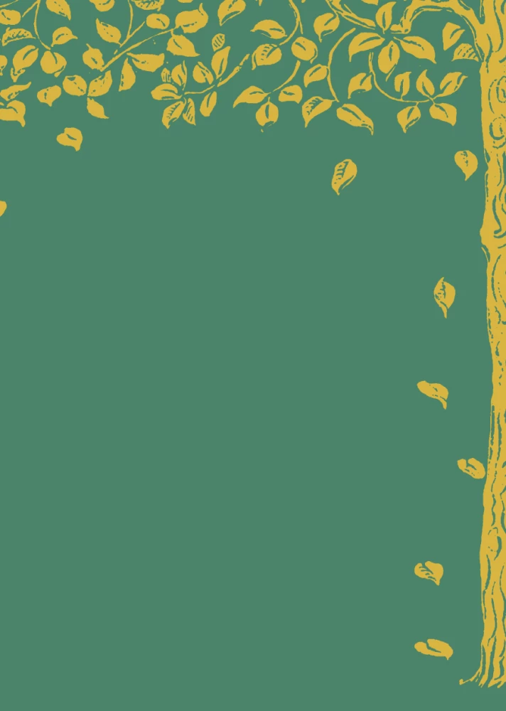 The Magical Land and Its Surroundings