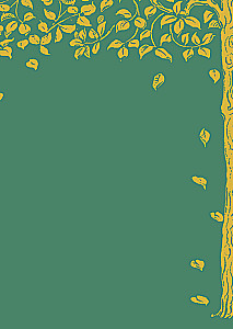 The Magical Land and Its Surroundings