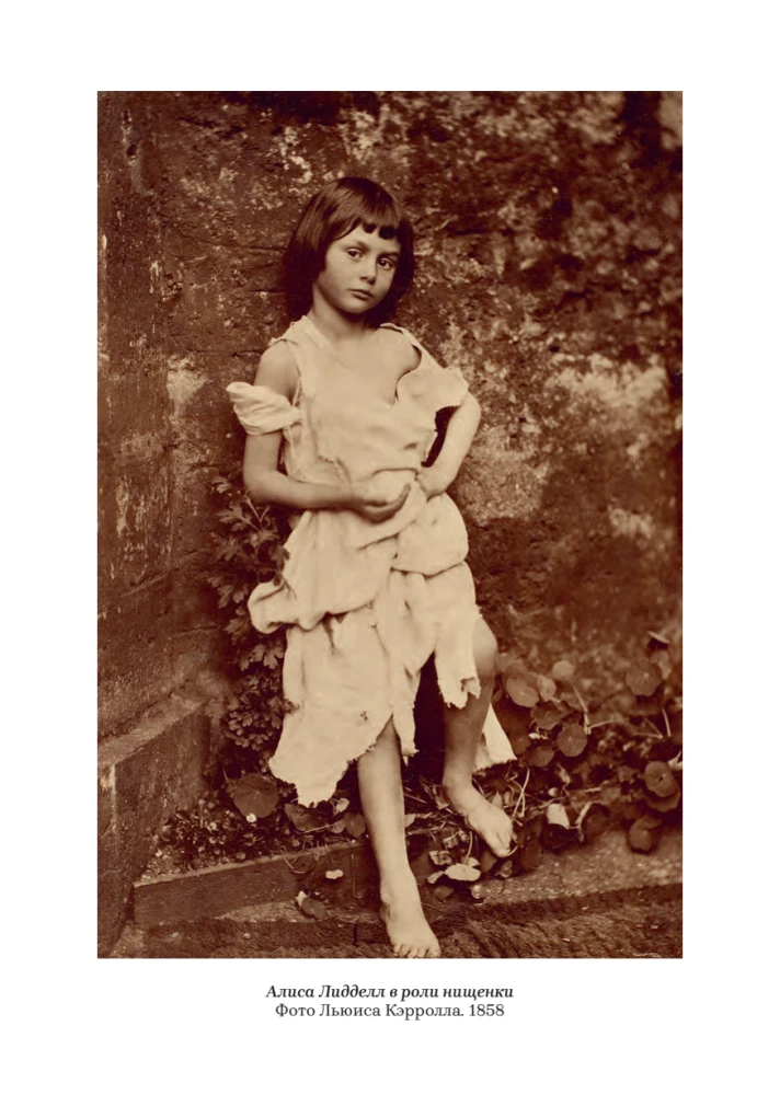 The Magical Land and Its Surroundings