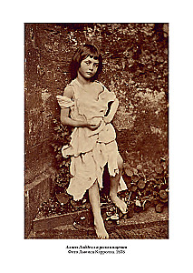 The Magical Land and Its Surroundings