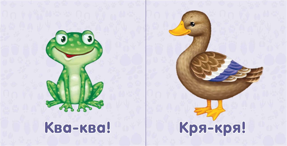 Animals