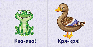 Animals