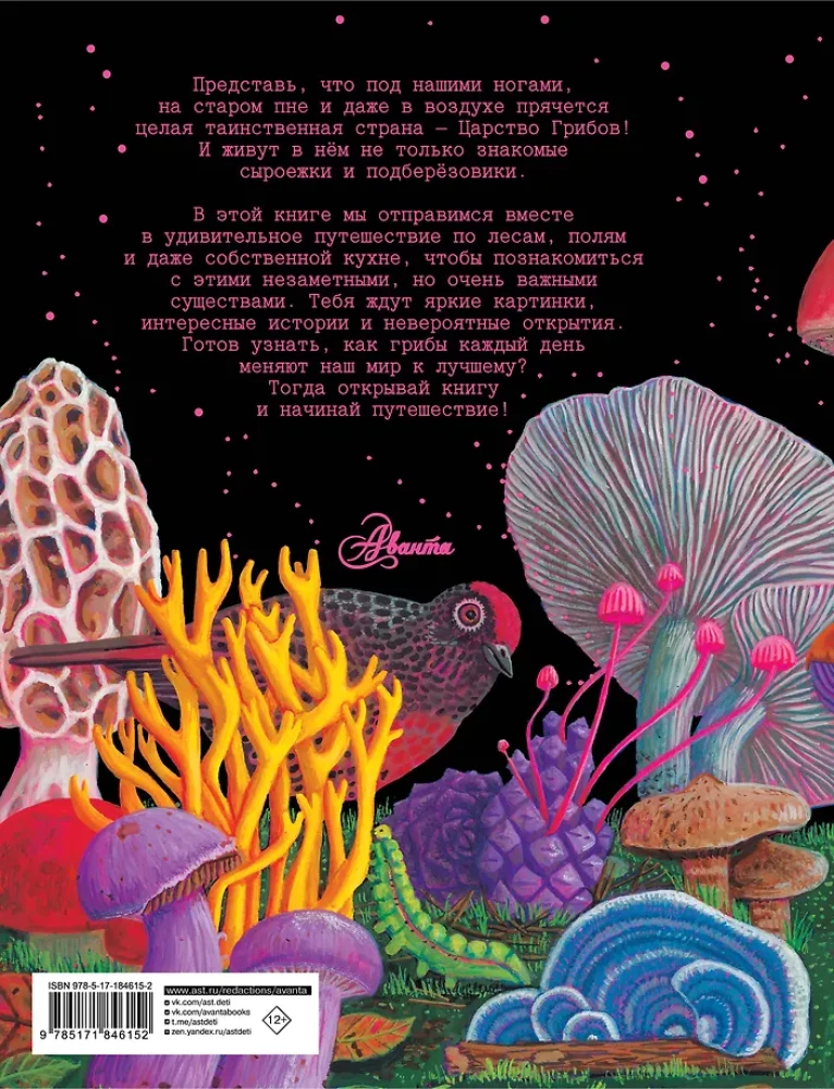 The Kingdom of Mushrooms