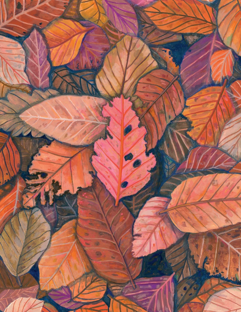 The Kingdom of Mushrooms