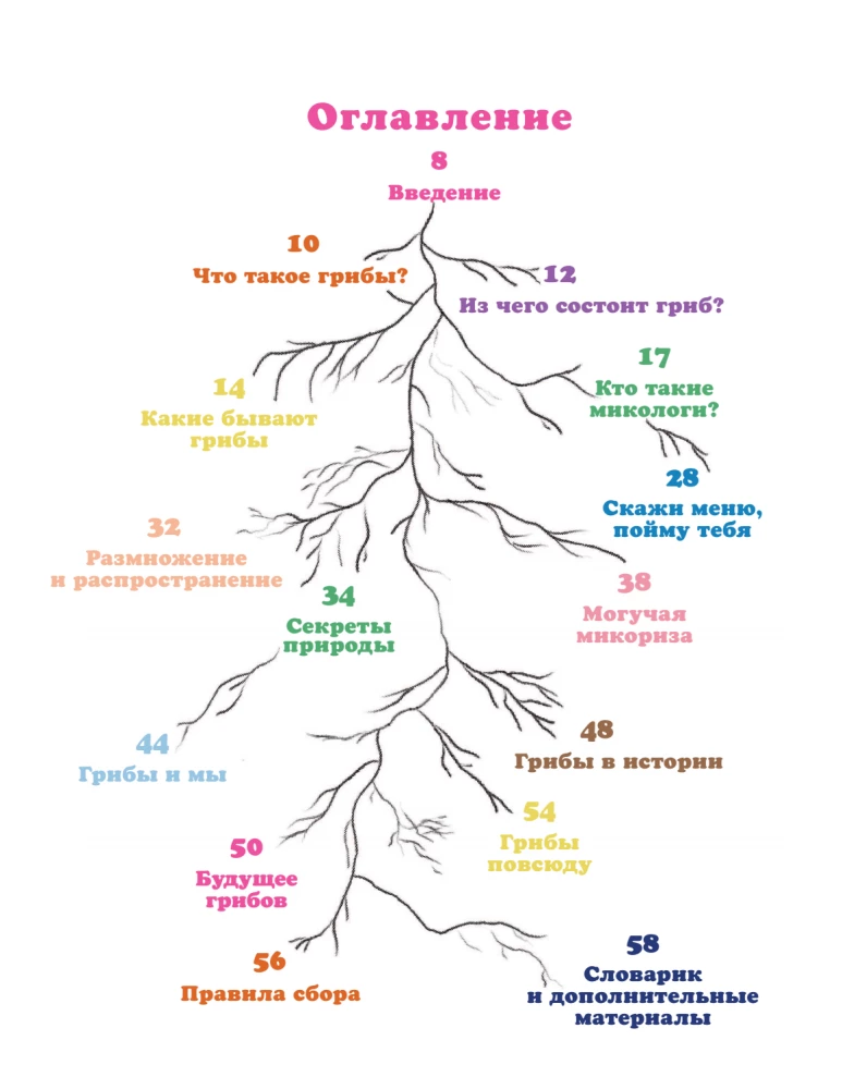 The Kingdom of Mushrooms