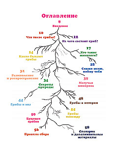 The Kingdom of Mushrooms