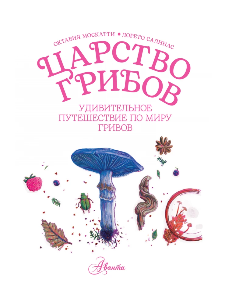 The Kingdom of Mushrooms