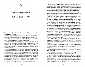 Vėjų Paukščio Kronika