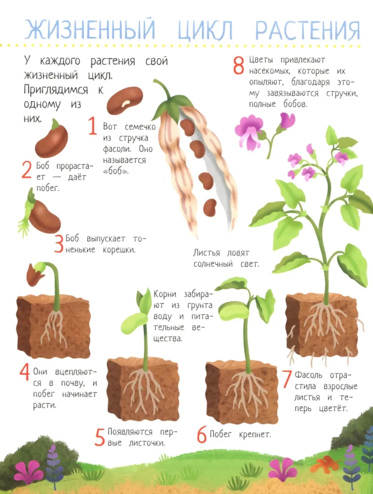 Your Home Garden: A Book of Ideas and Entertainment