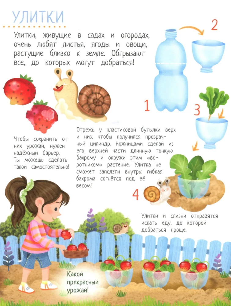 Your Home Garden: A Book of Ideas and Entertainment