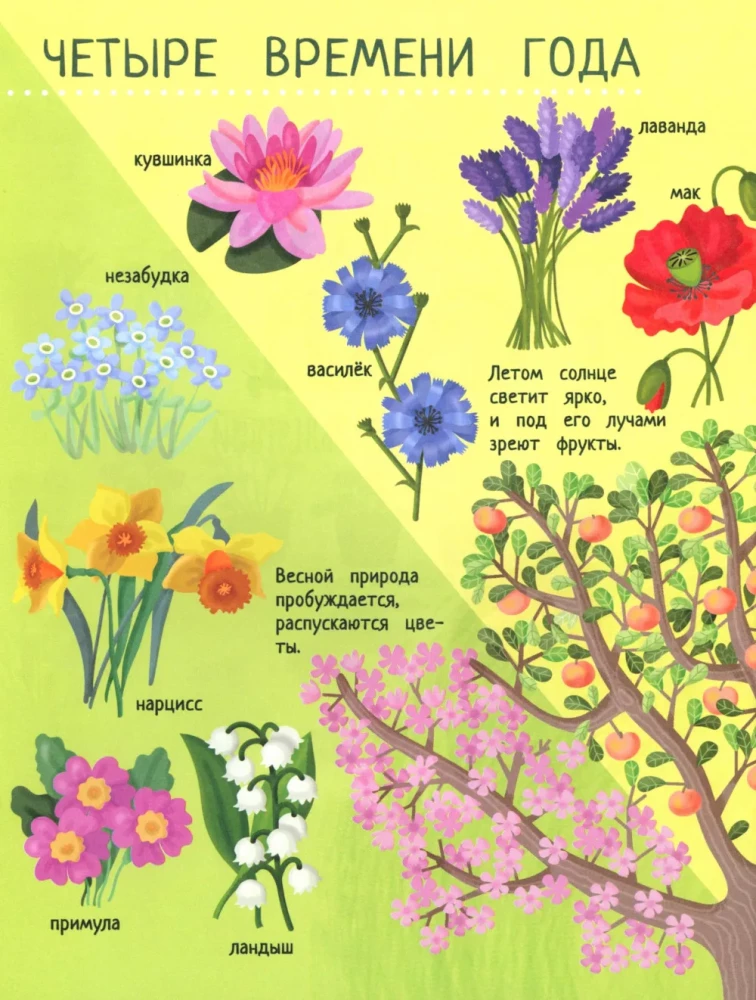 Your Home Garden: A Book of Ideas and Fun