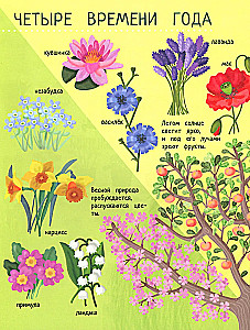 Your Home Garden: A Book of Ideas and Fun