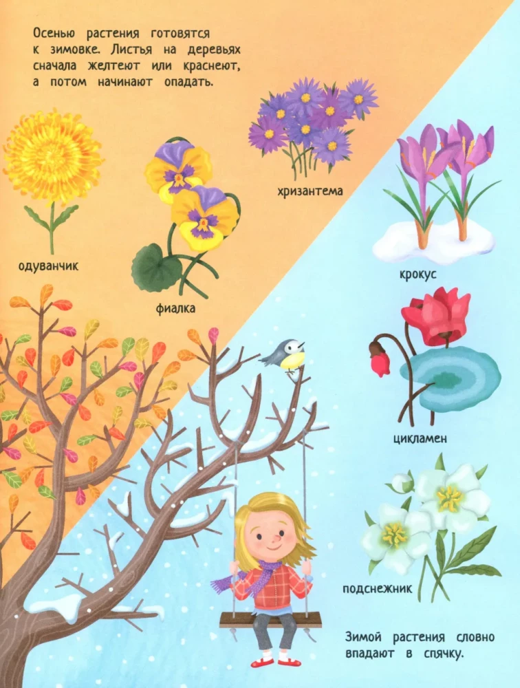 Your Home Garden: A Book of Ideas and Fun