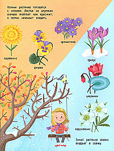 Your Home Garden: A Book of Ideas and Fun