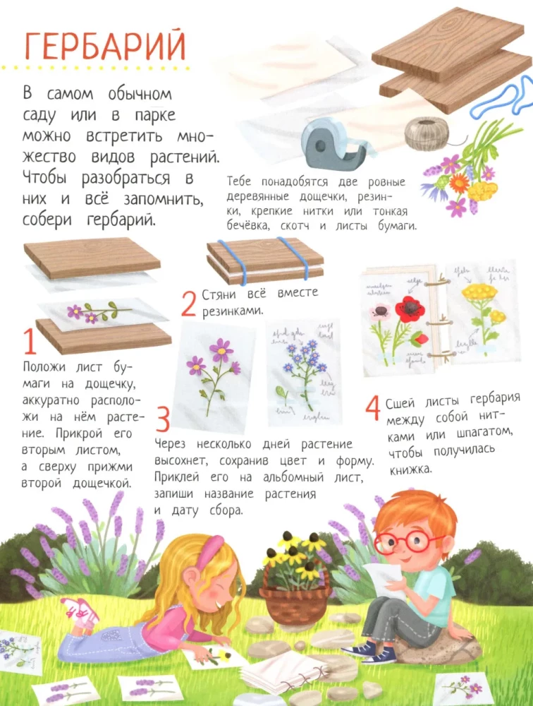 Your Home Garden: A Book of Ideas and Fun