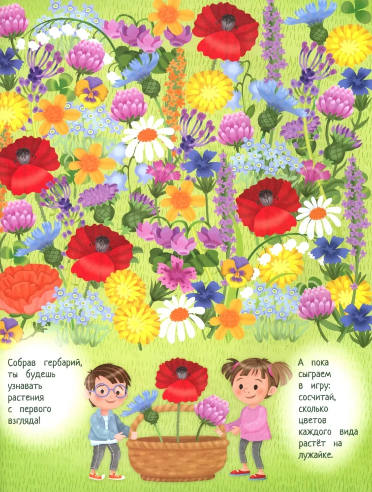 Your Home Garden: A Book of Ideas and Fun