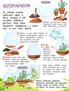 Your Home Garden: A Book of Ideas and Fun