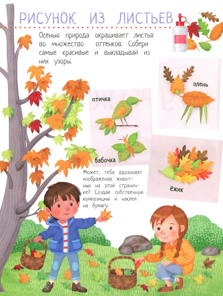 Your Home Harvest: A Book of Ideas and Fun