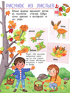 Your Home Harvest: A Book of Ideas and Fun