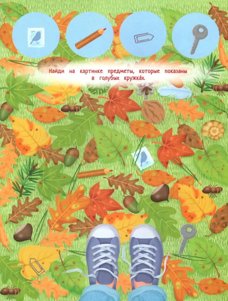 Your Home Harvest: A Book of Ideas and Fun