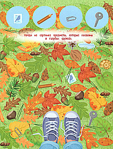 Your Home Harvest: A Book of Ideas and Fun