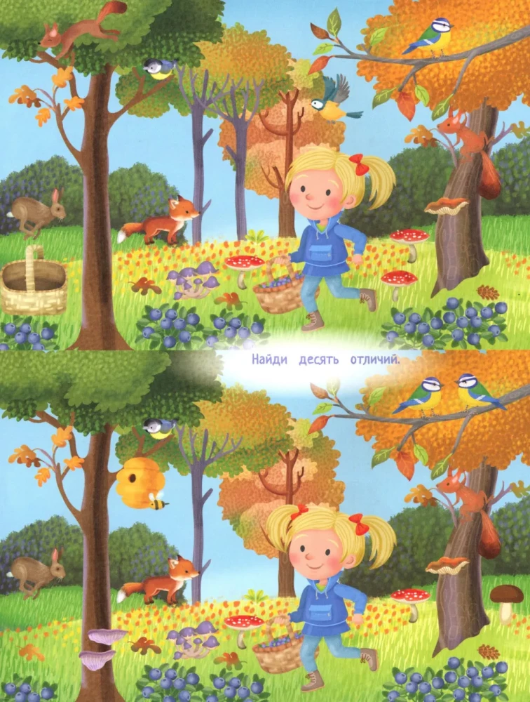 Your Home Harvest: A Book of Ideas and Fun