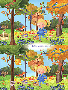 Your Home Harvest: A Book of Ideas and Fun